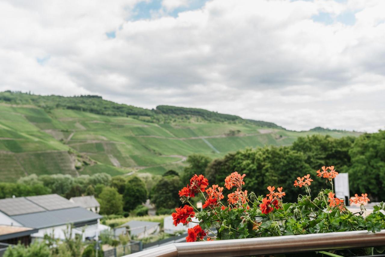 Wein- Und Gaestehaus Schwaab&Sohn Erden Bagian luar foto